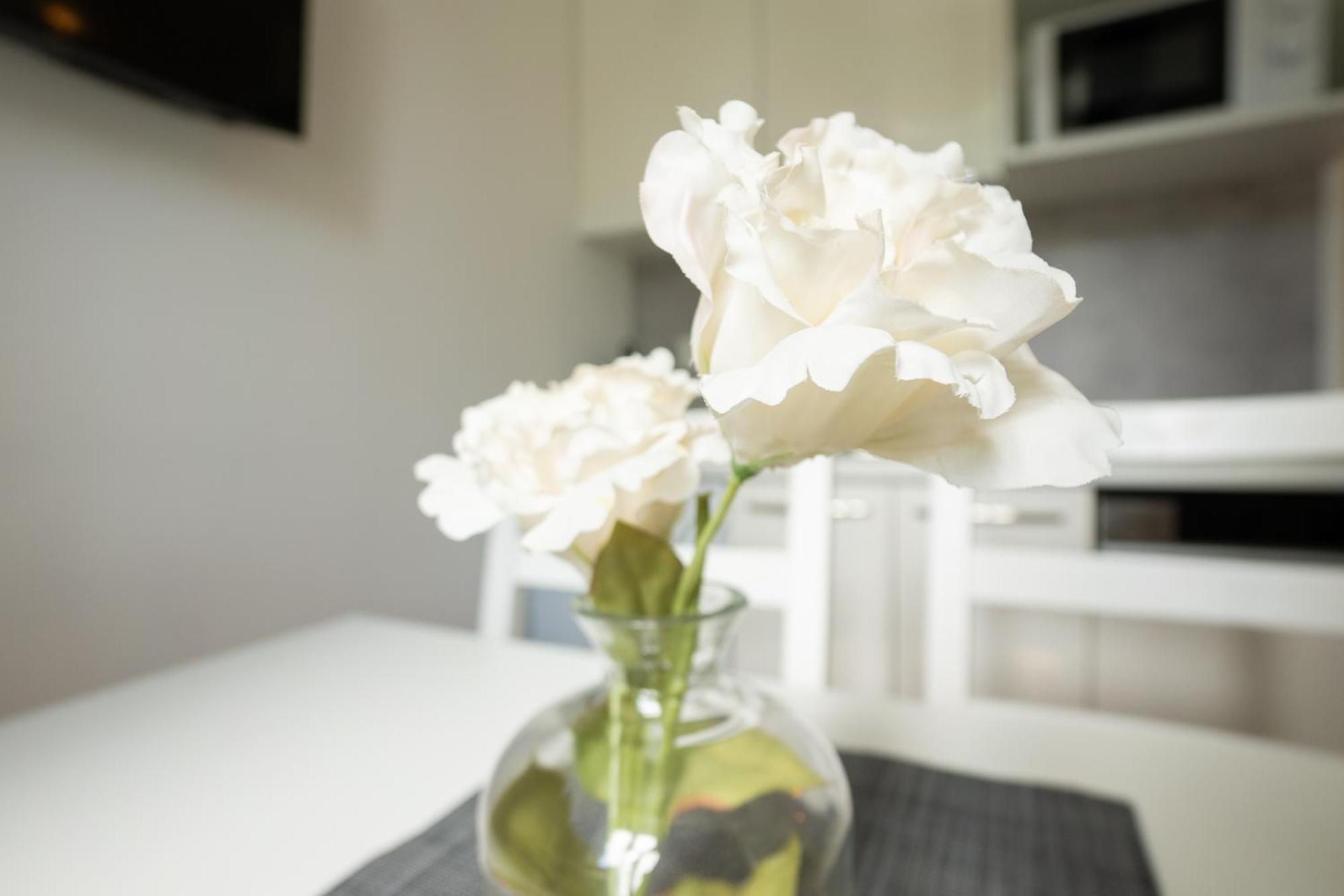 Dainn Apartments Schoenbrunn Βιέννη Εξωτερικό φωτογραφία